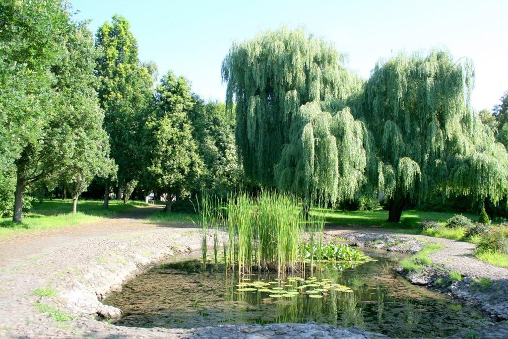 Sulechów Hotel Odr מראה חיצוני תמונה
